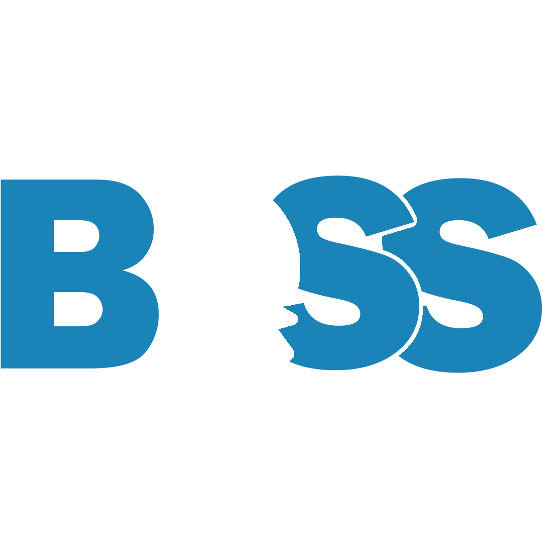BOSS logo